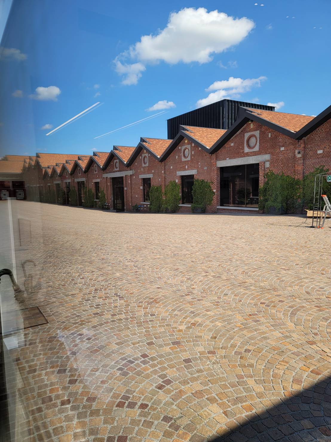 イタリア伝統菓子 パネットーネ700g