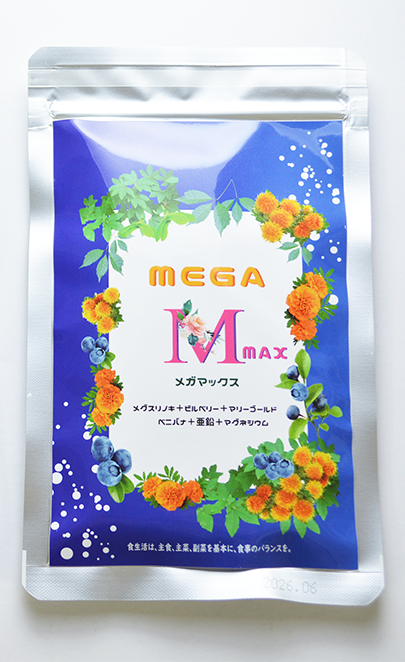 MegaMax メガマックス